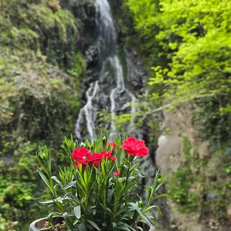 Muradland الوادي الأخضر Hotel Trabzon