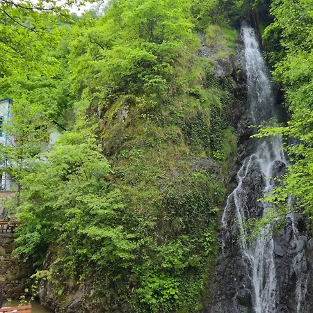 Muradland الوادي الأخضر