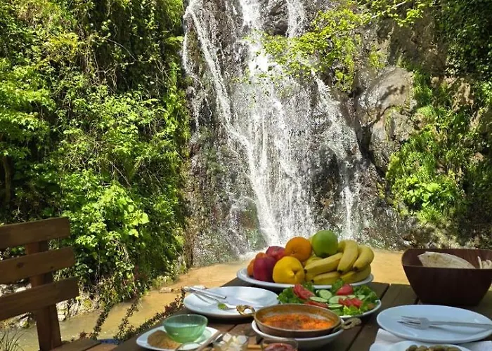 Muradland الوادي الأخضر 4*