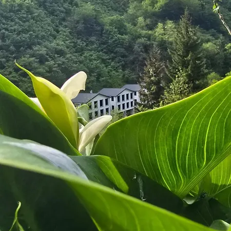 Muradland الوادي الأخضر Otel 3*