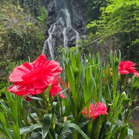 Muradland الوادي الأخضر Trabzon