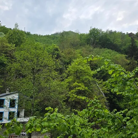 Hotel Muradland الوادي الأخضر