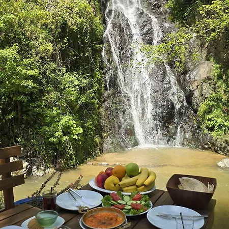 Muradland الوادي الأخضر